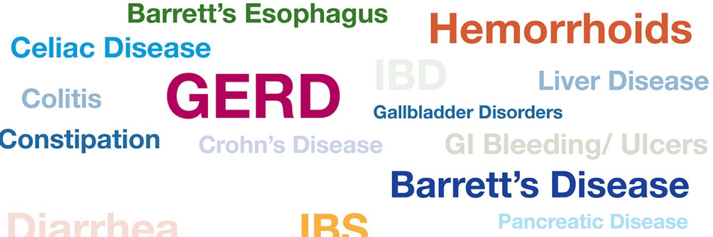 gastro word cloud