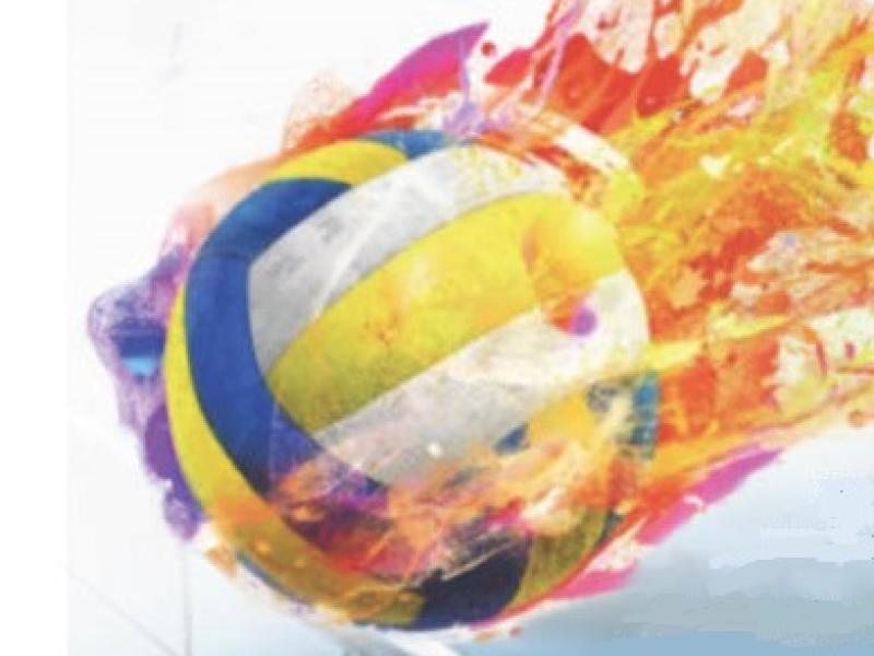 Volleyball artwork