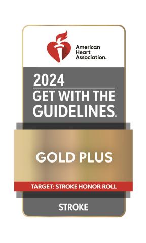 2024 American Heart Associations Get with the Guidelines Stroke Award