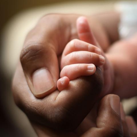 An adult hand holding a newborn hand in a touching photo.